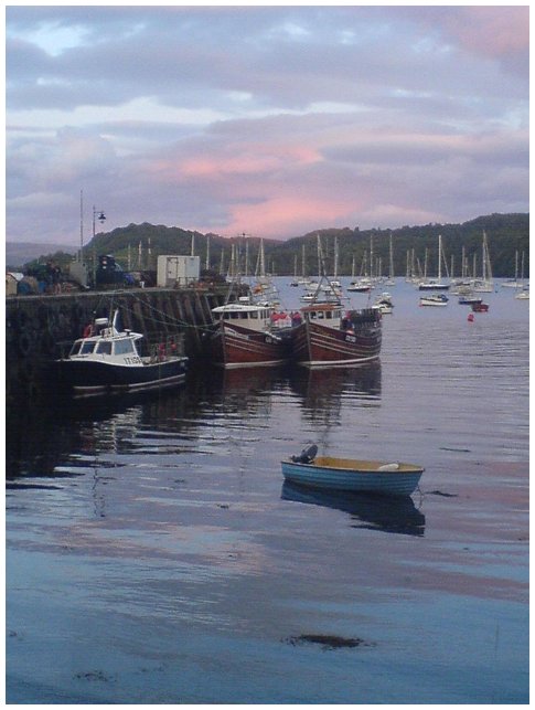 Hitltgund at Tobermory - 2009 - A rare photo by CP