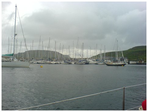 Hitltgund at Kerrera - 2009 - A rare photo by CP