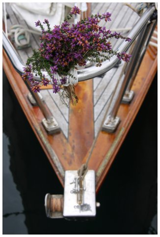 Hiltgund 2009 - Round Ardnamurchan and back - hence heather.